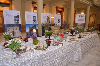 Naz Samji - Navroz_0008 340.jpg